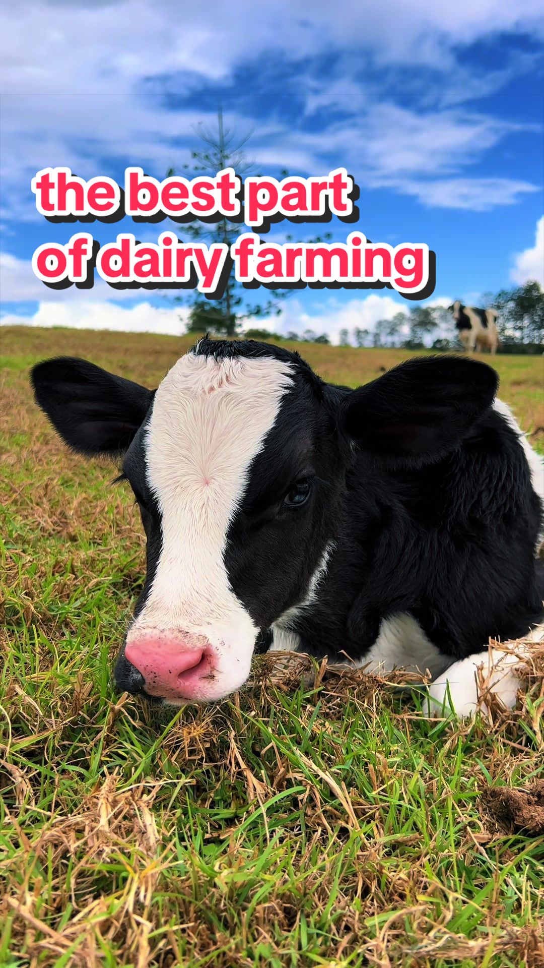 @Big Farmer Andy