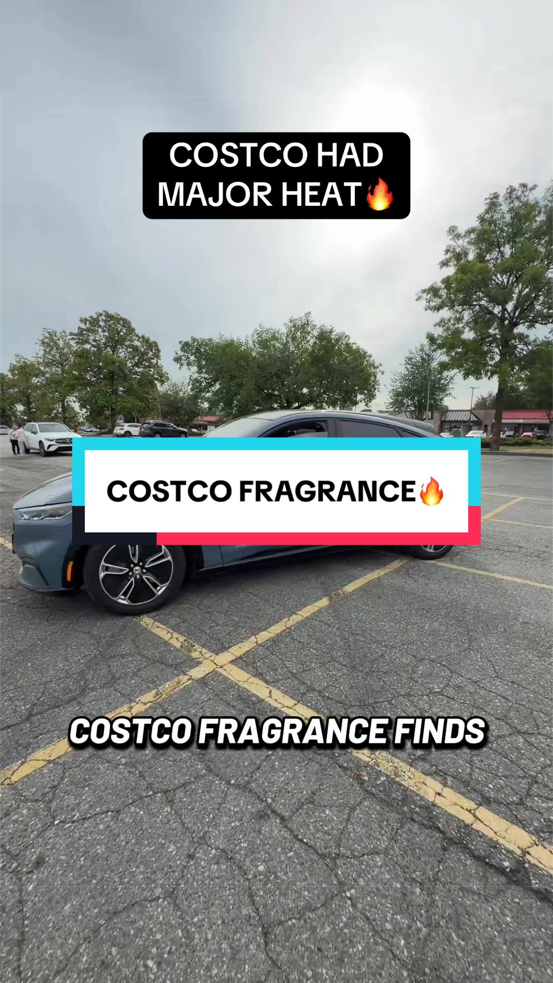 @𝖙𝖋𝖌 𝖋𝖗𝖆𝖌𝖗𝖆𝖓𝖈𝖊