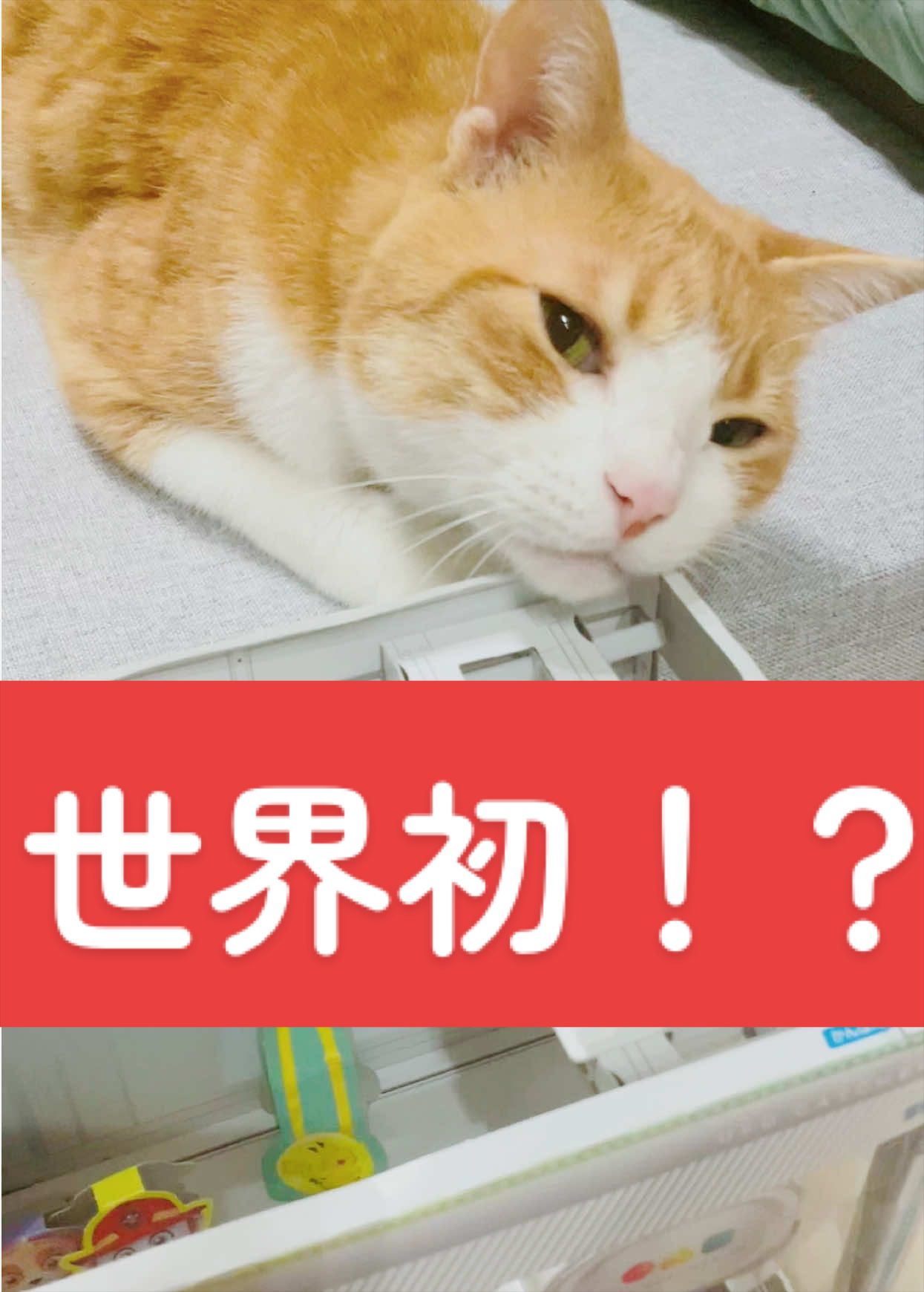 @みーこchannel