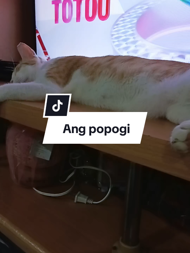 @inday alicia