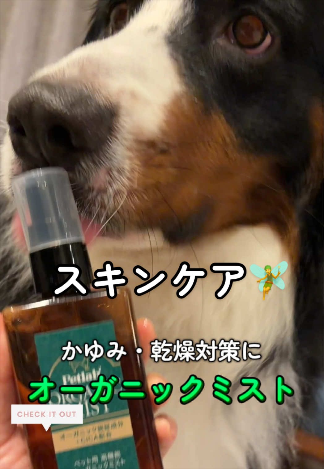 @å¯å£«å±±ð¶ð»ããŒããŒãºããŠã³ãã³ããã° - Fujisan