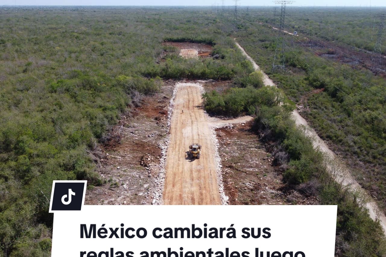 @Aristegui Noticias