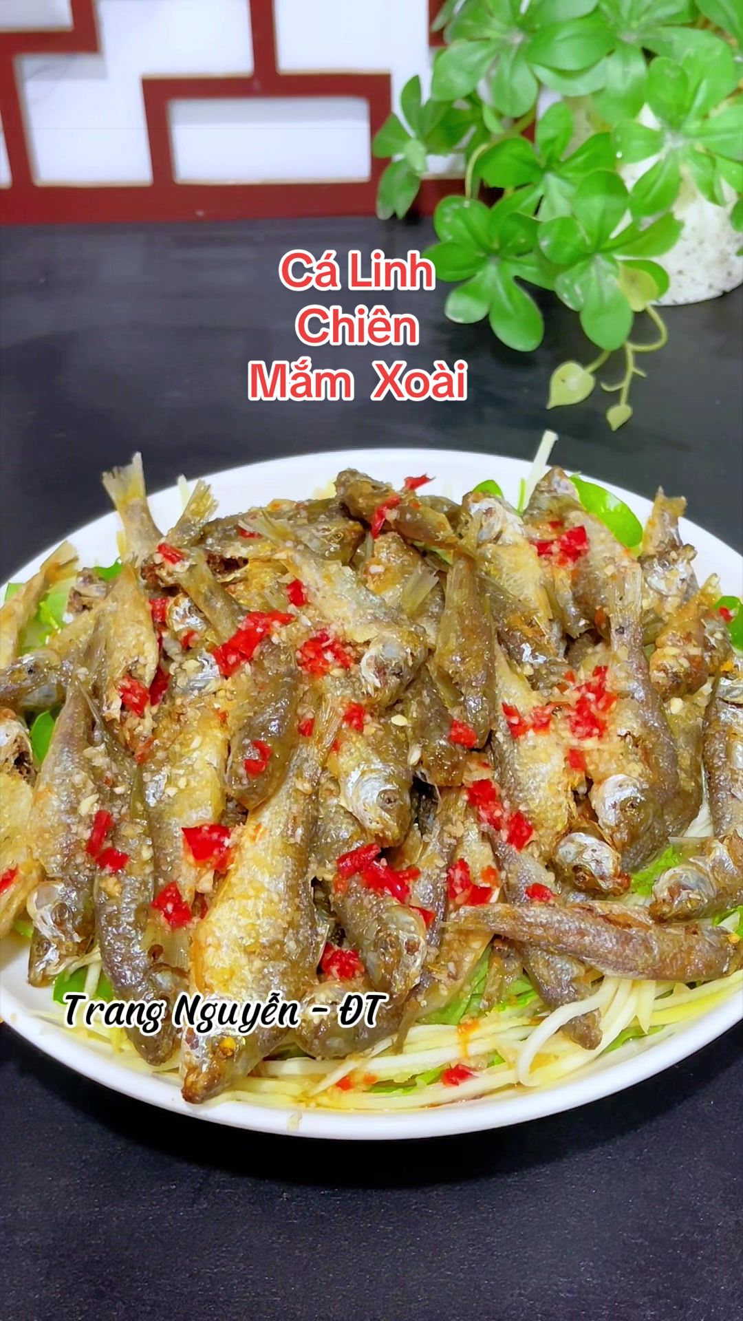 @Trang Nguyễn - ĐT