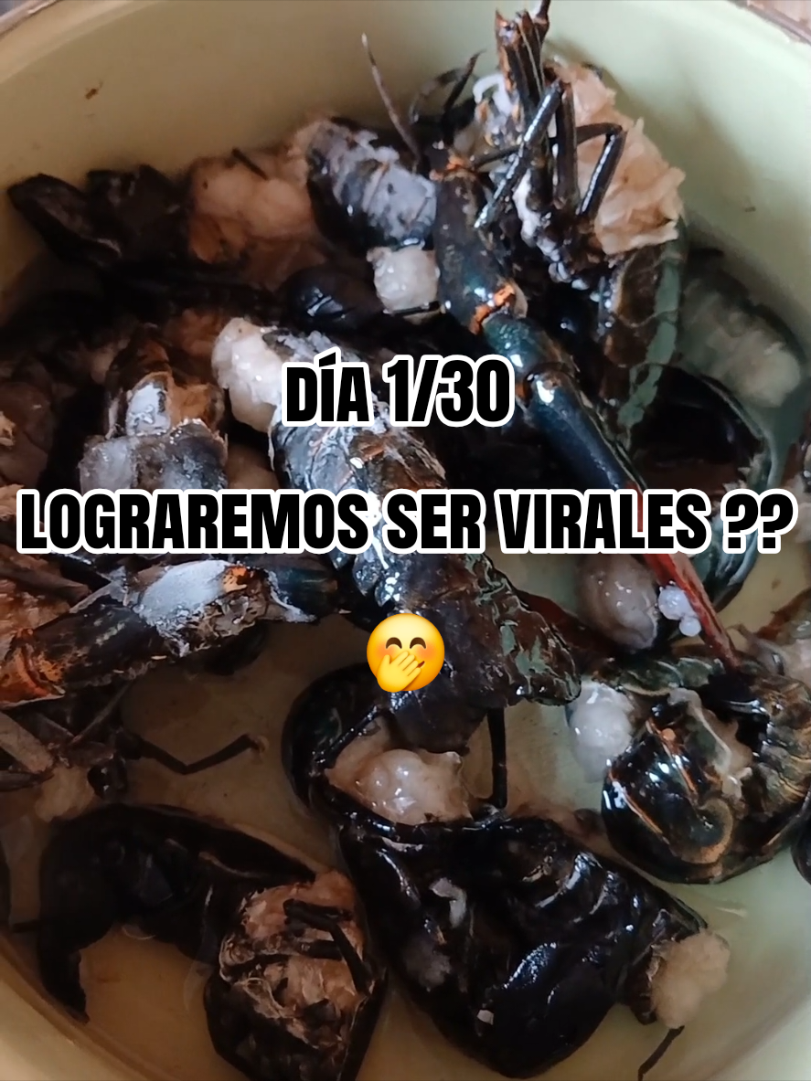 @MARIS BARRAGÁN