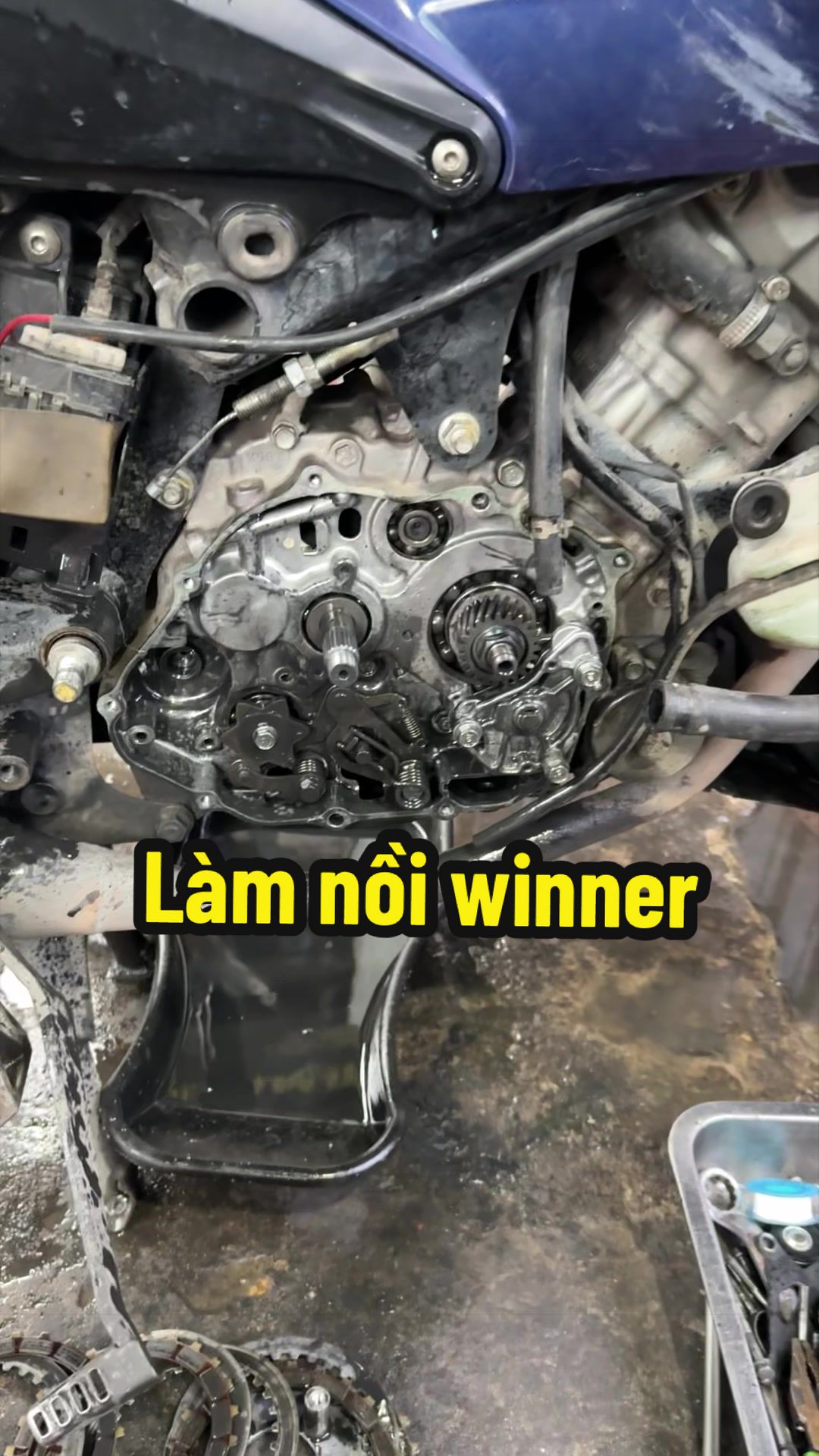 @Đạt L&agrave; 🇻🇳