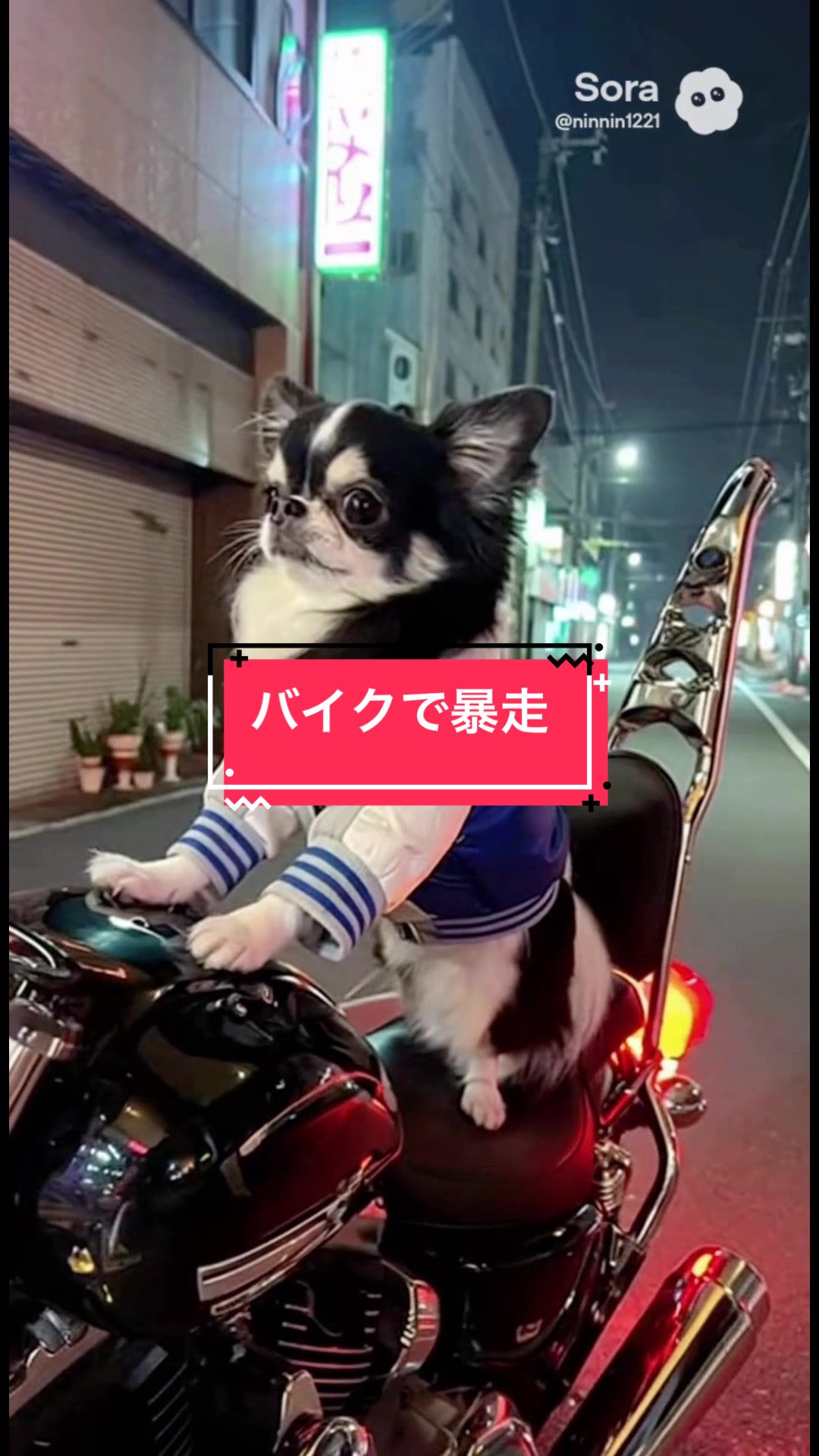 @ニンニン🐶🩵🍀