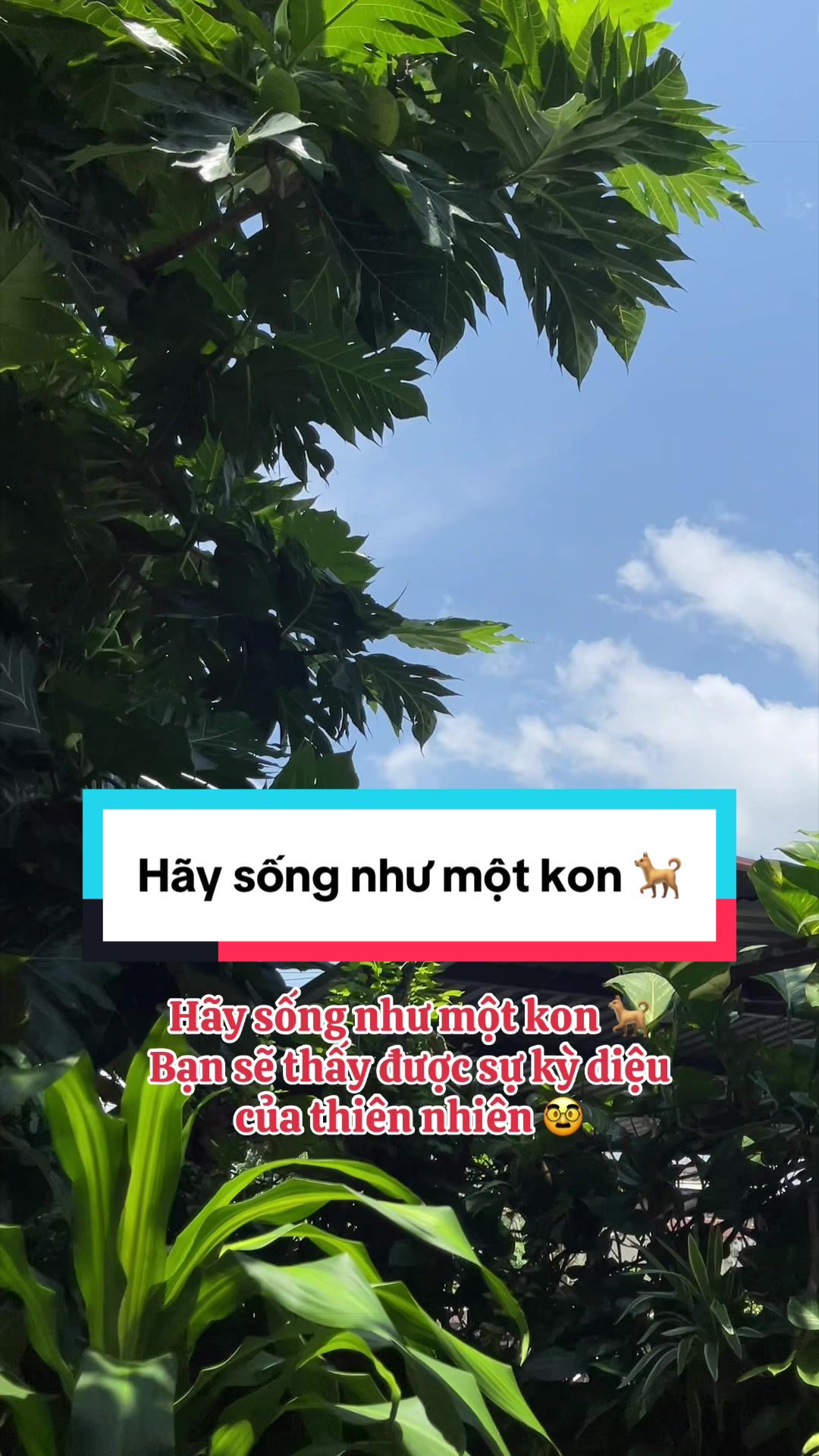 @AndyTrần PinkSpa Củ Chi 🍀