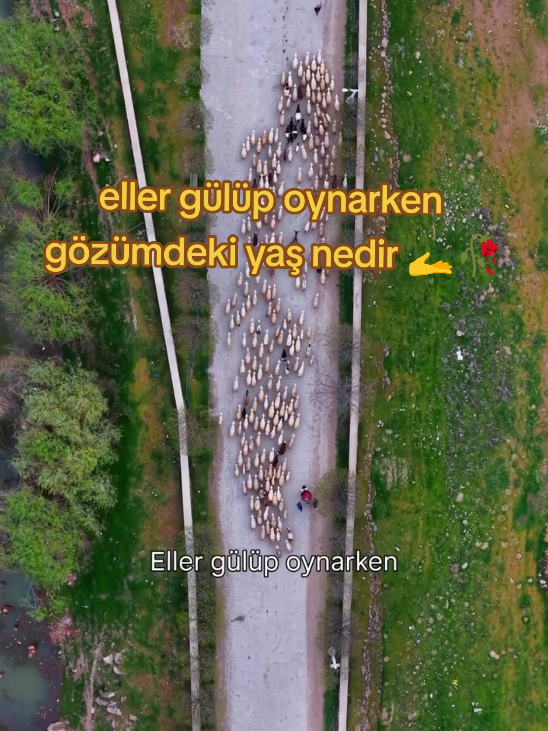@İbrahim dertli