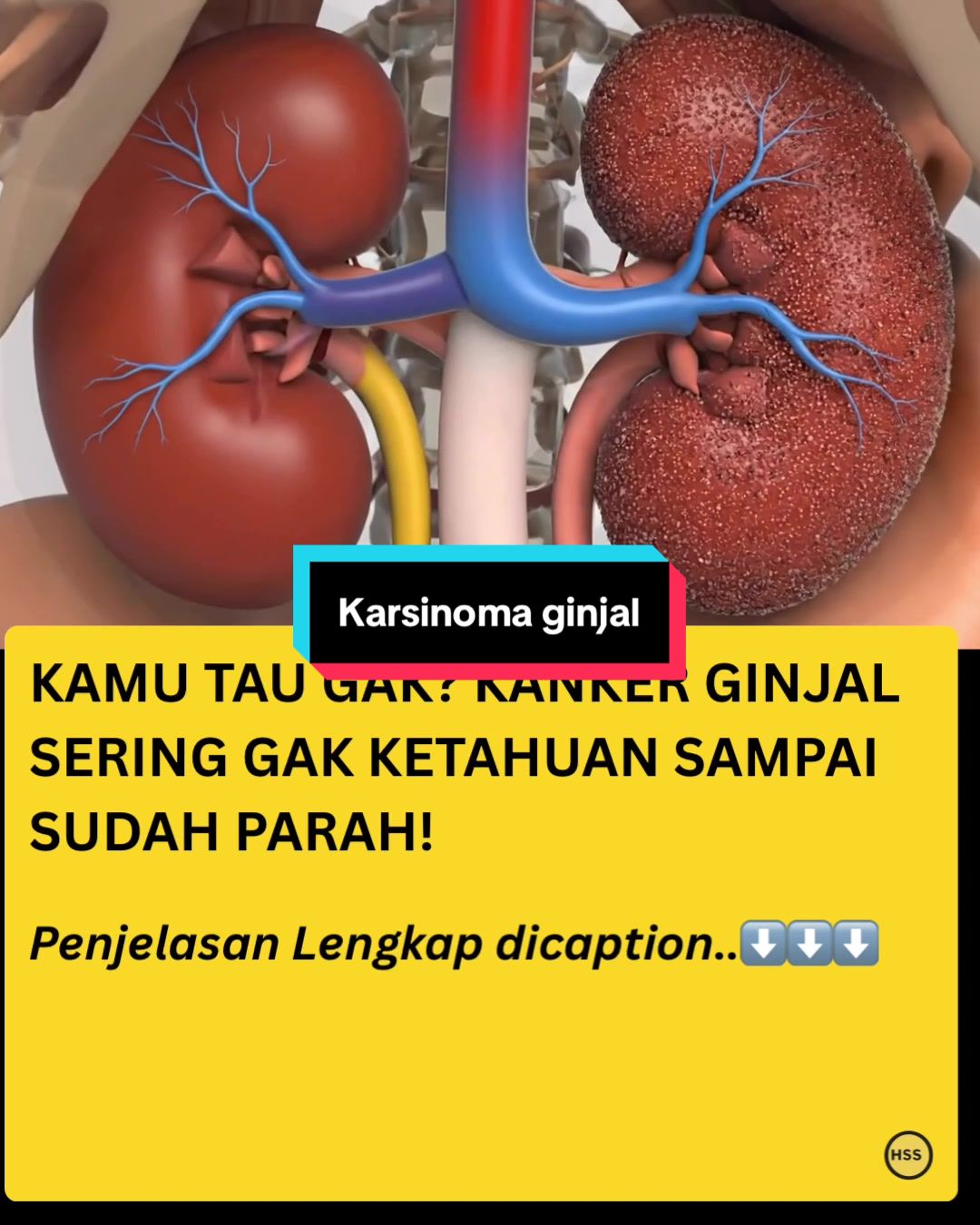 @healthstorysociety
