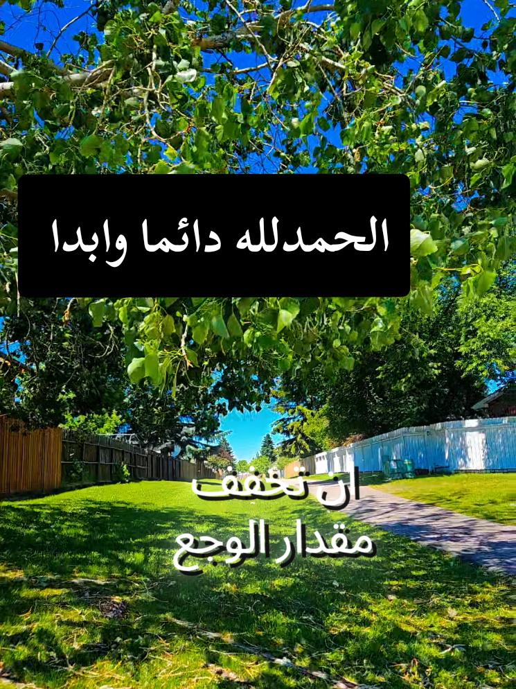 @🍃🌸Tahani Khafas🌸🍃