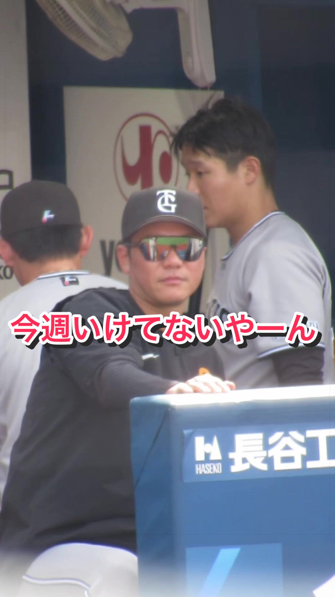 @ヘパリーゼ🫀