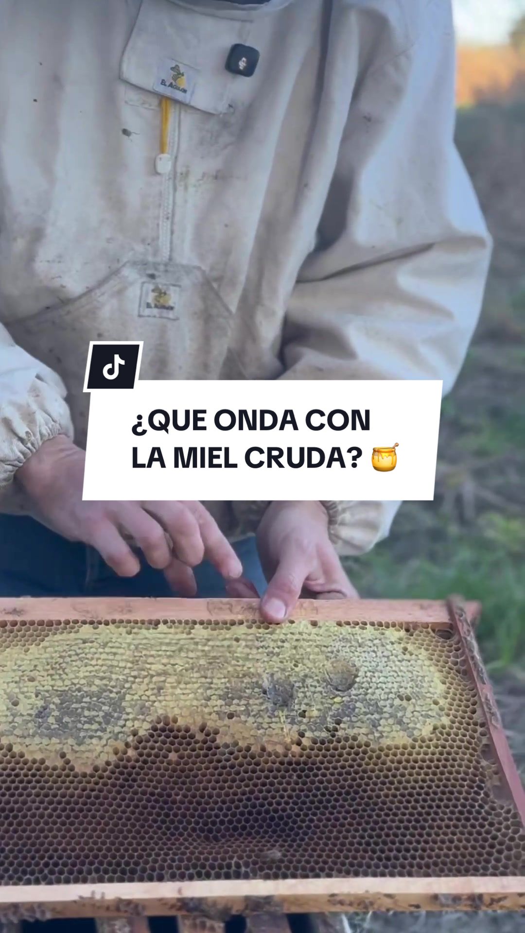 @apicola.donjuan