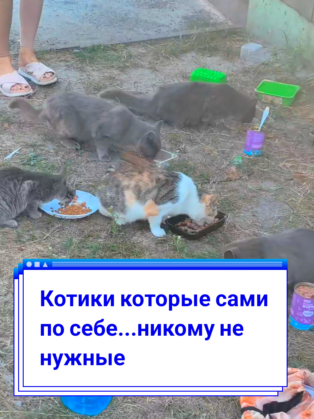 @Elena Barhat