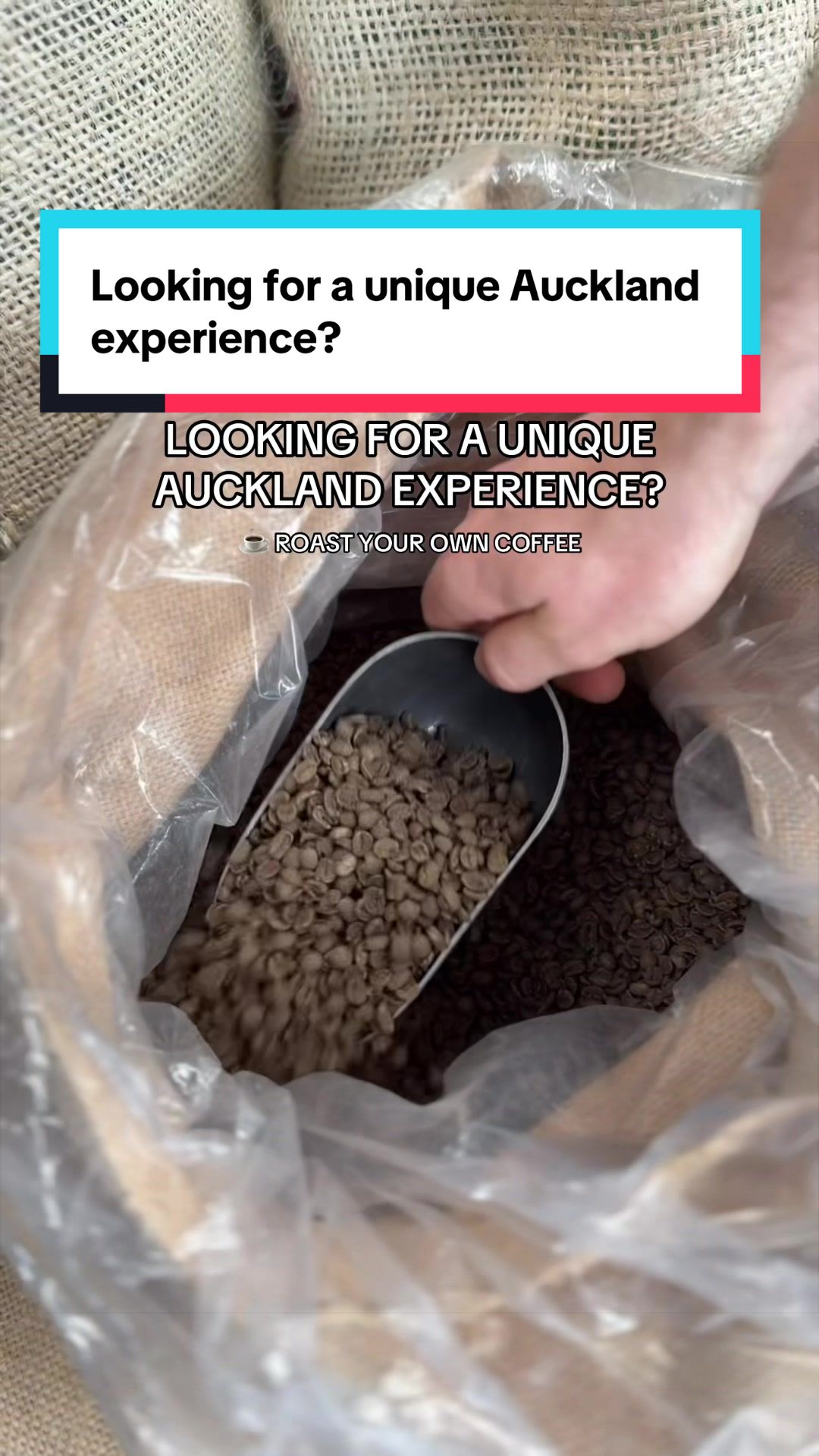 @Visit Auckland