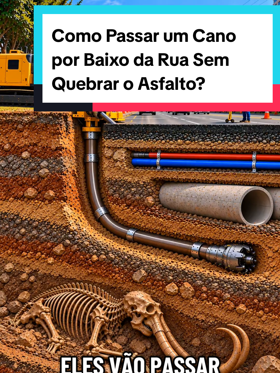 @Mundo da Curiosidades