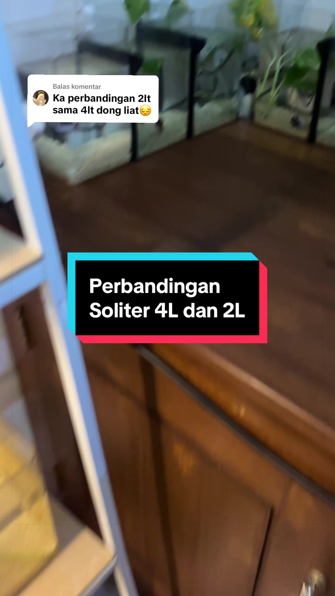 @bayu