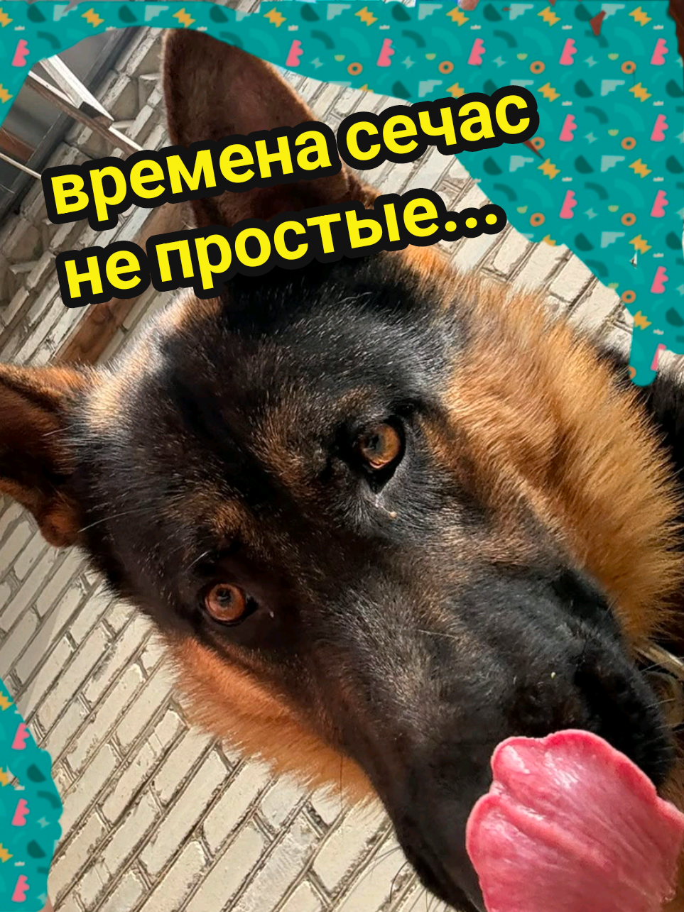 @Рыся✔️🇧🇾