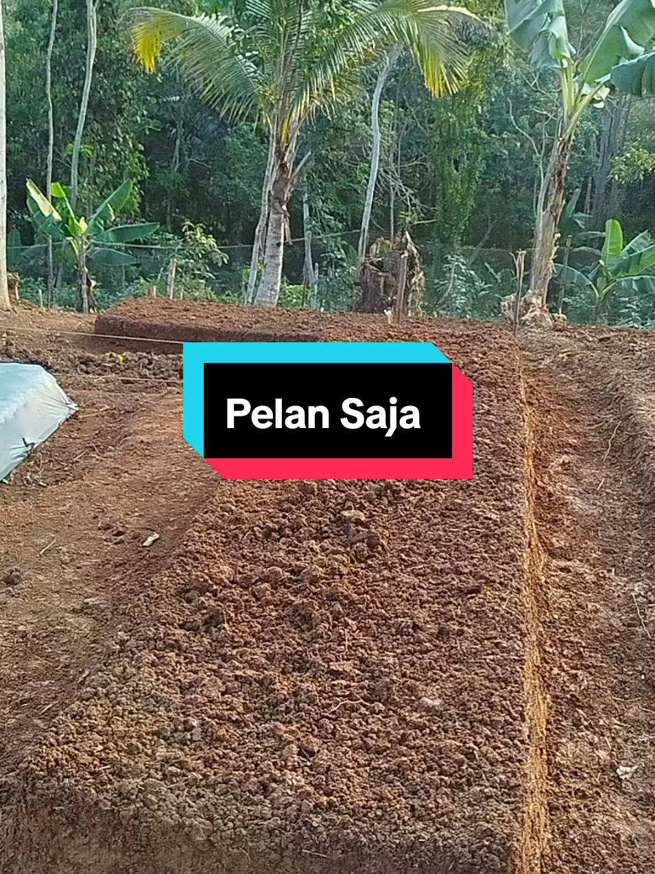 @SenimanPertanianCikancahTV