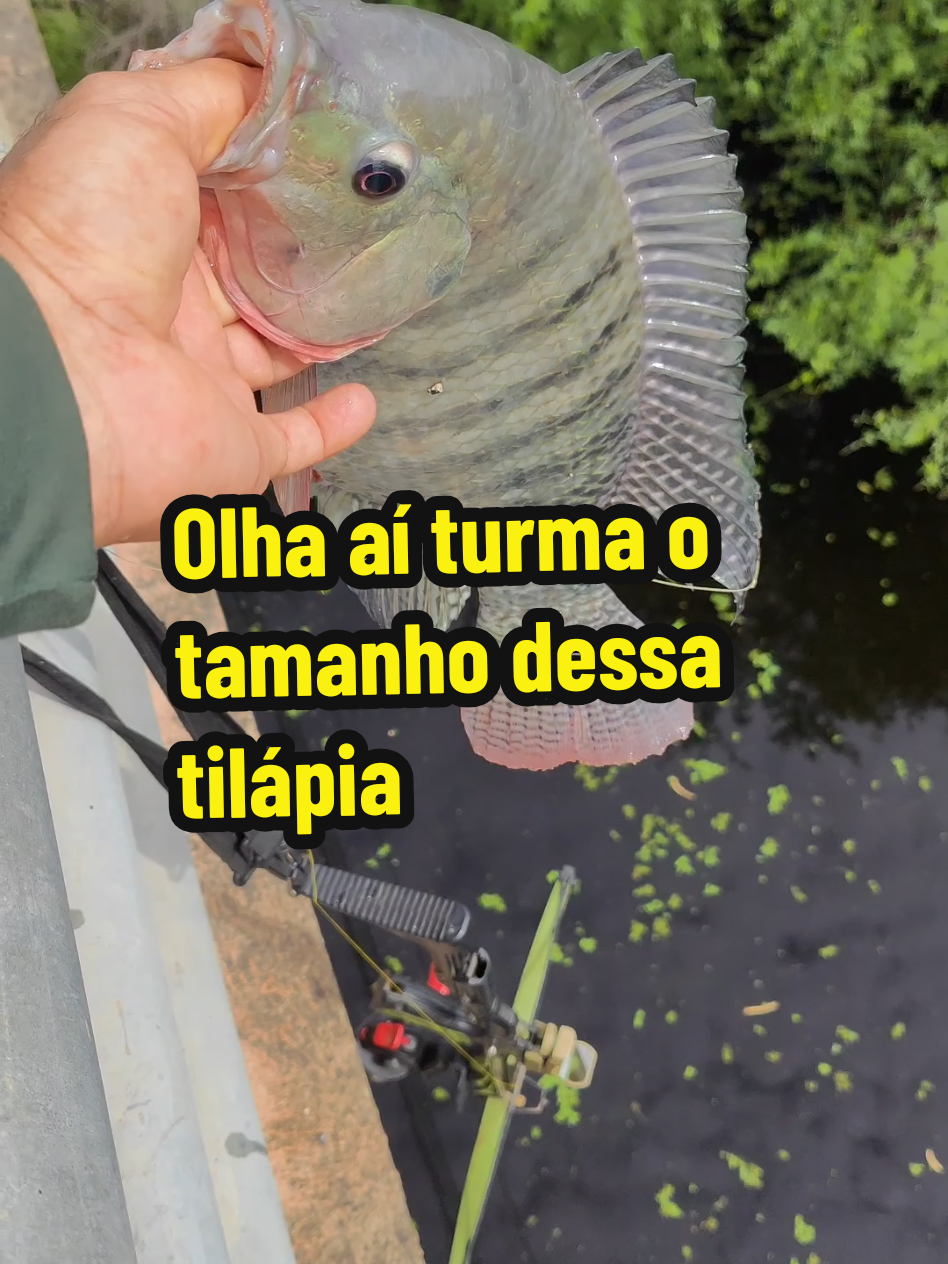 @Joildo Araujo