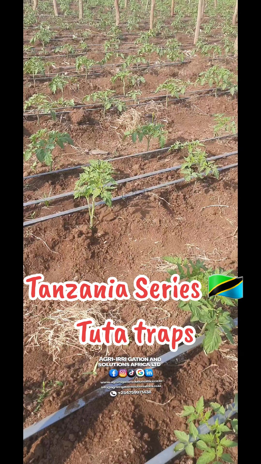 @Agri-Irrigation Africa Limited