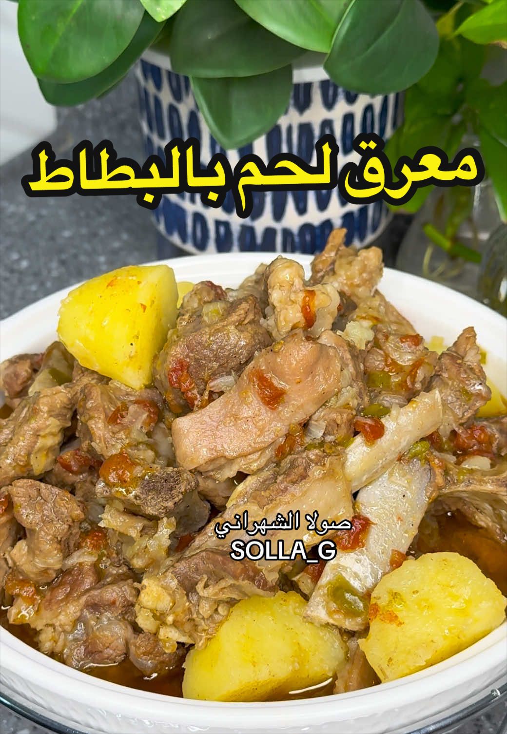 @صولا&ensp;الشهراني   أبها