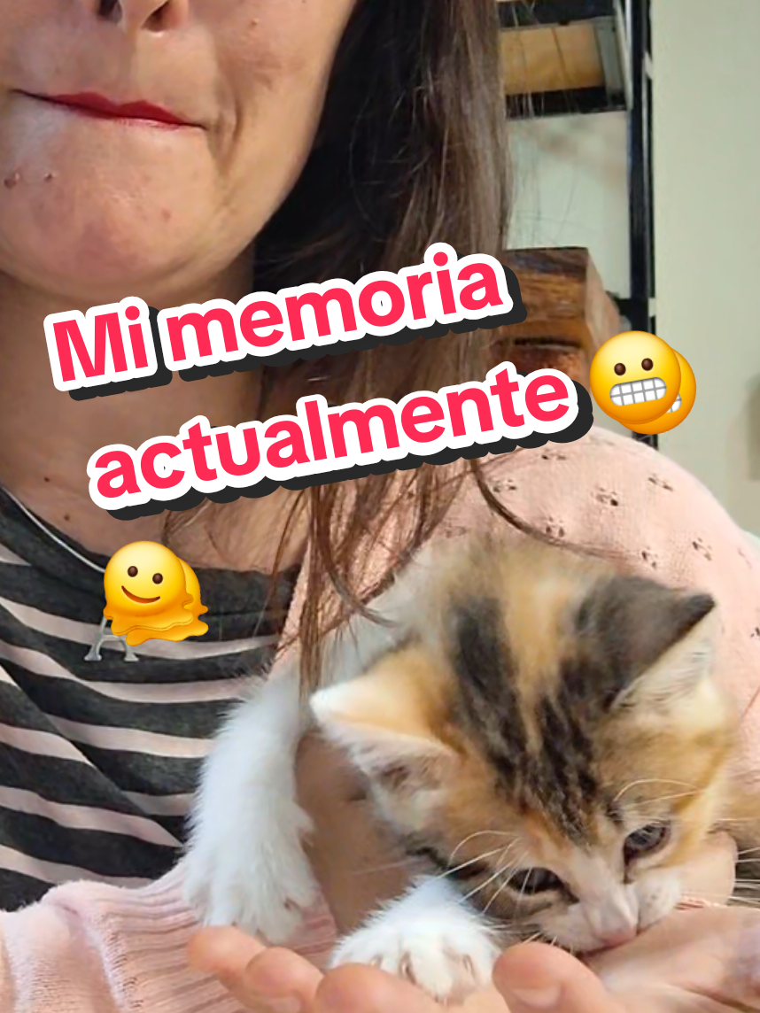 @cariadevans