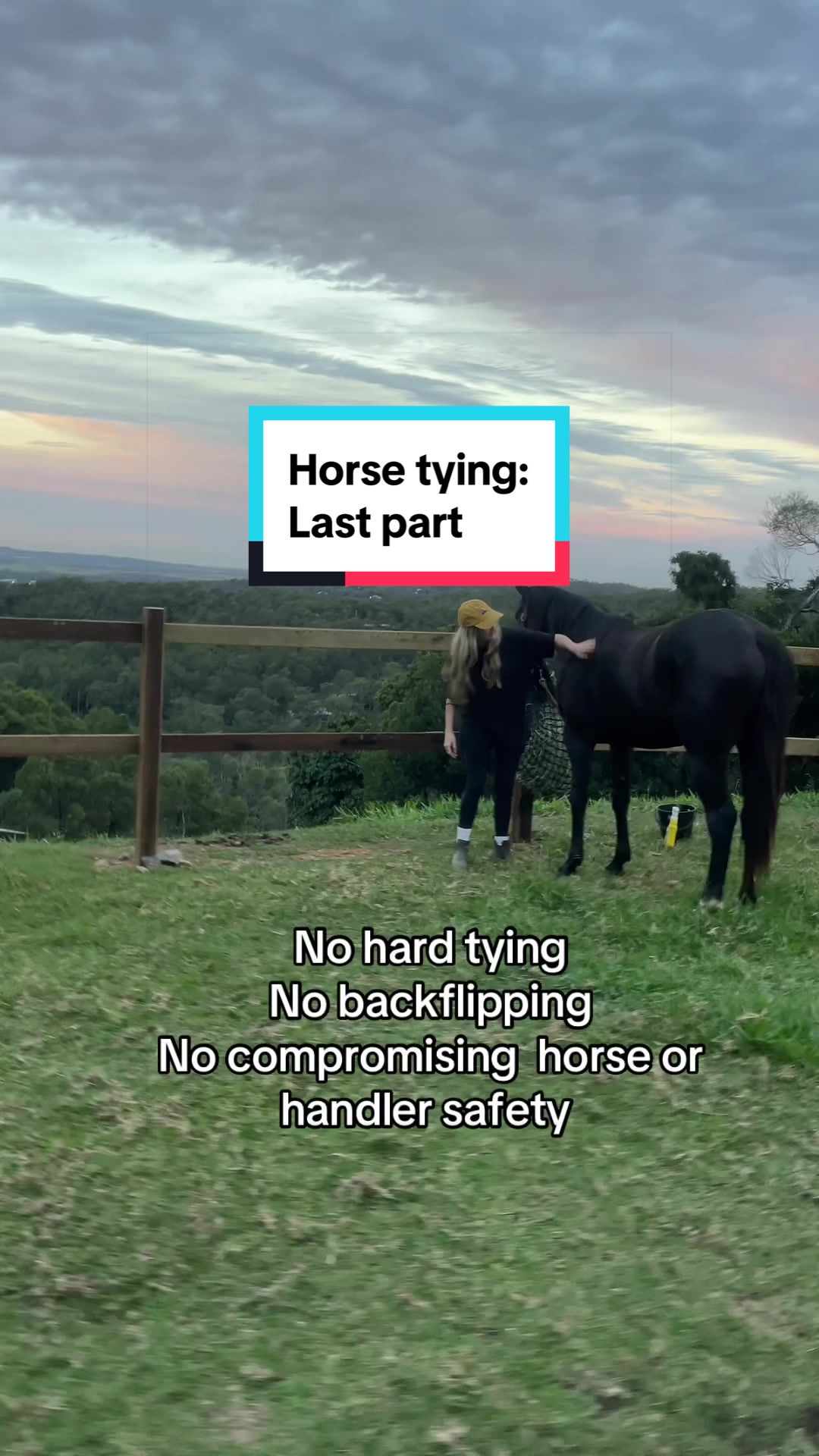 @🎠Dells Horses🎠