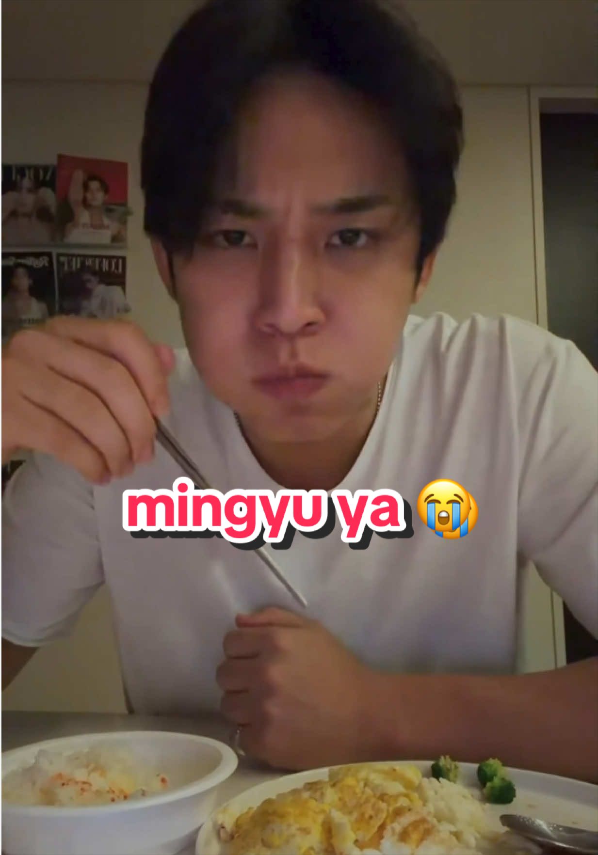 @gyuldaengiediary