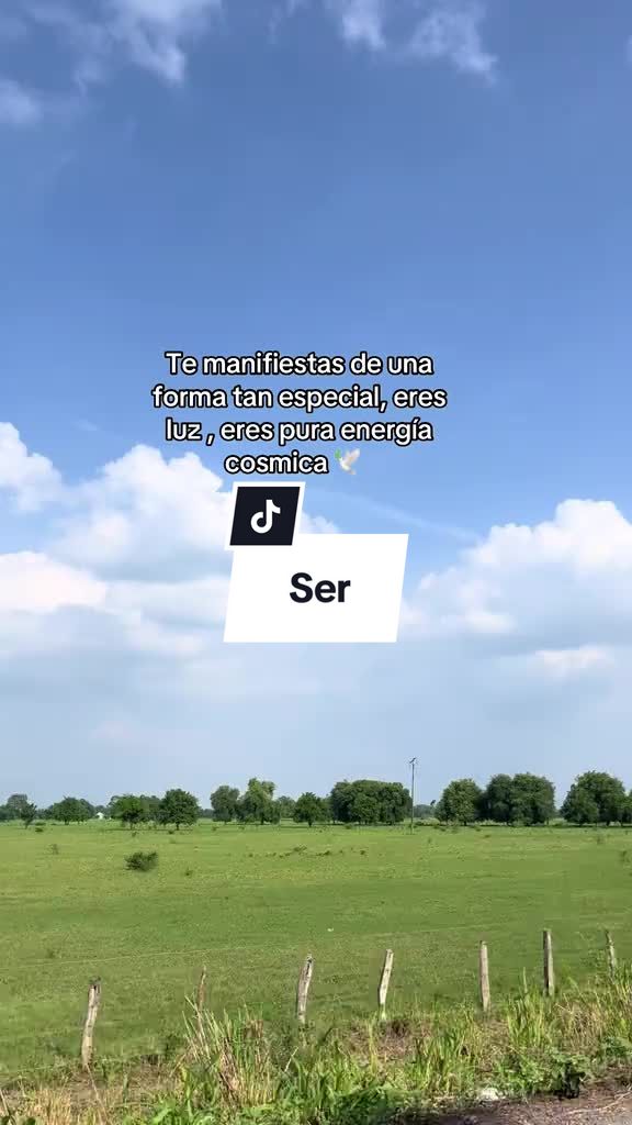 @Luis