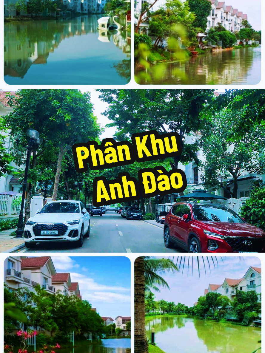 @Thiên Định Official