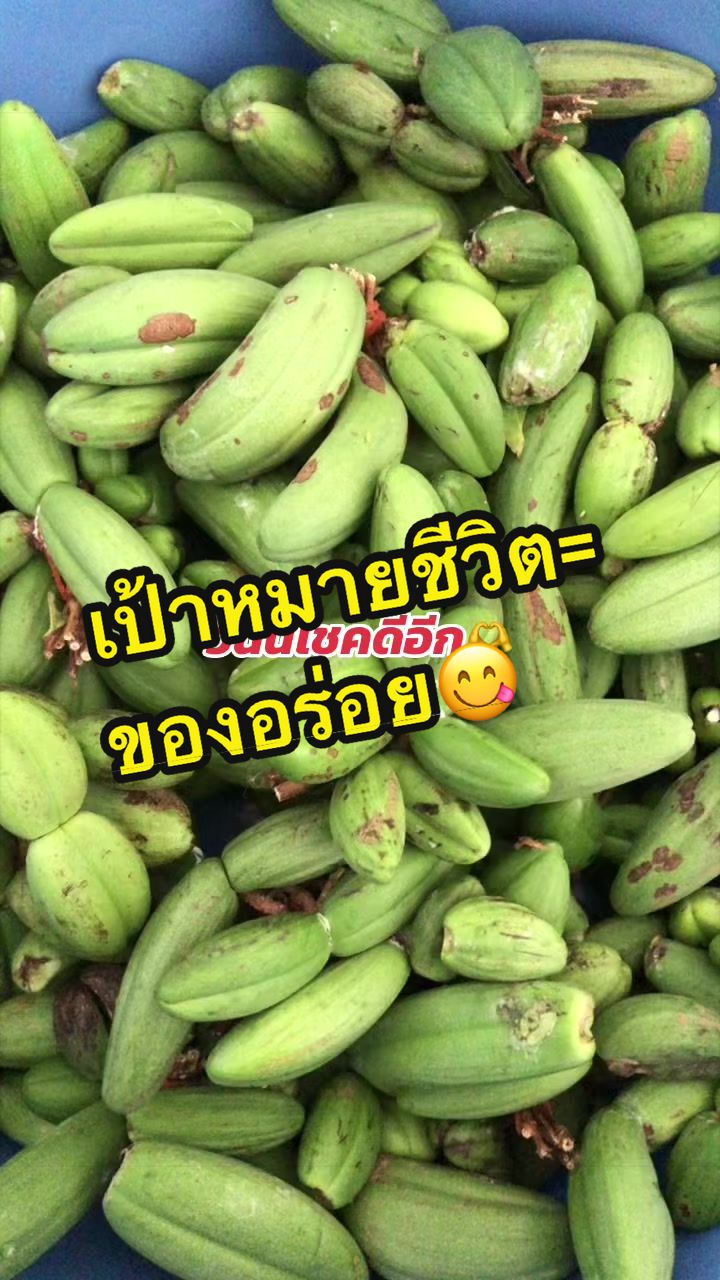 @🌿เจ๊ต่าย ขายผักป่าผักบ้าน🌿