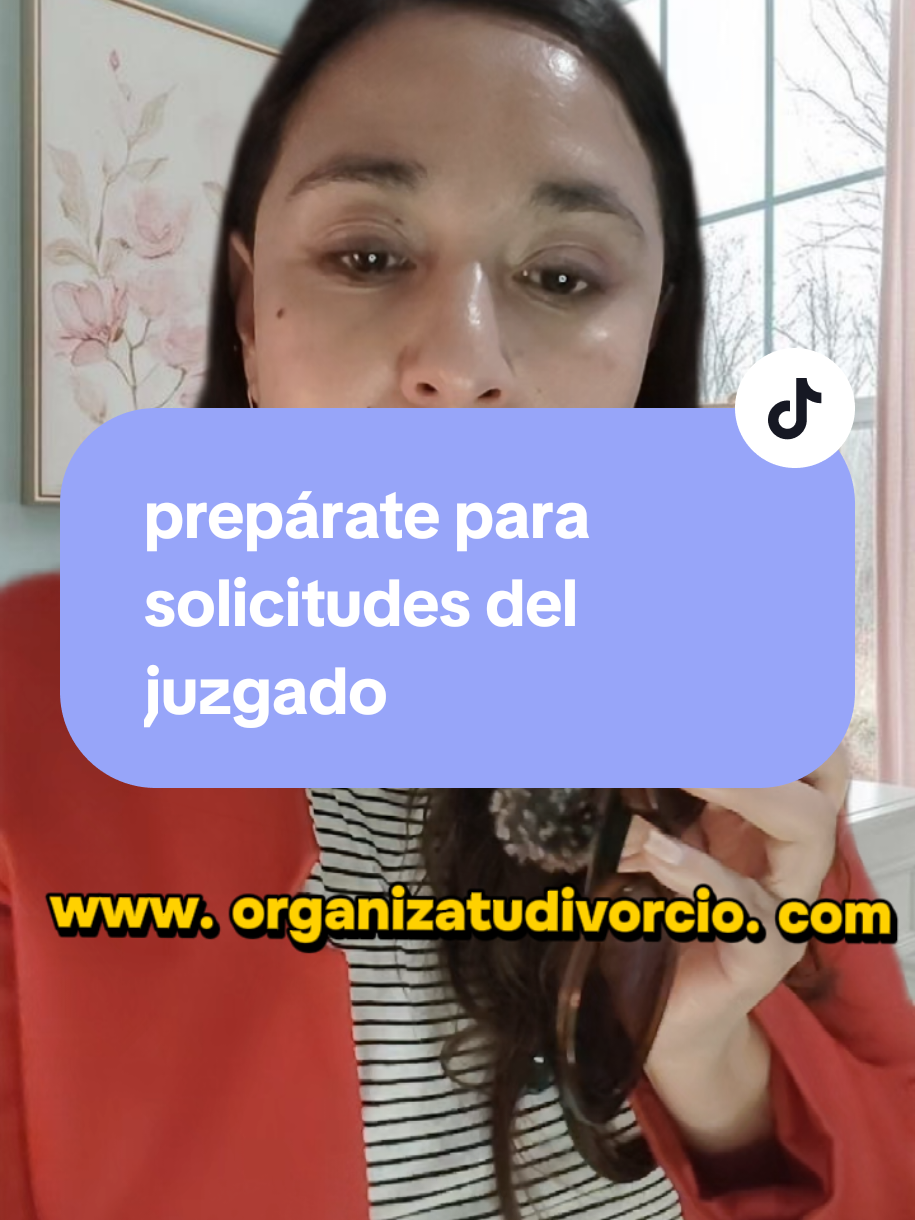 @organizatudivorcio