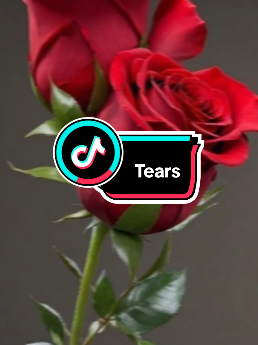 @Times Master