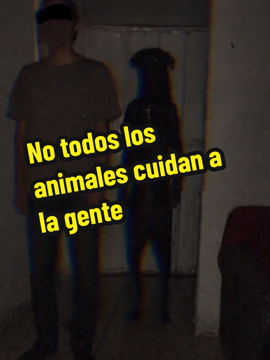 @El diario de coraje