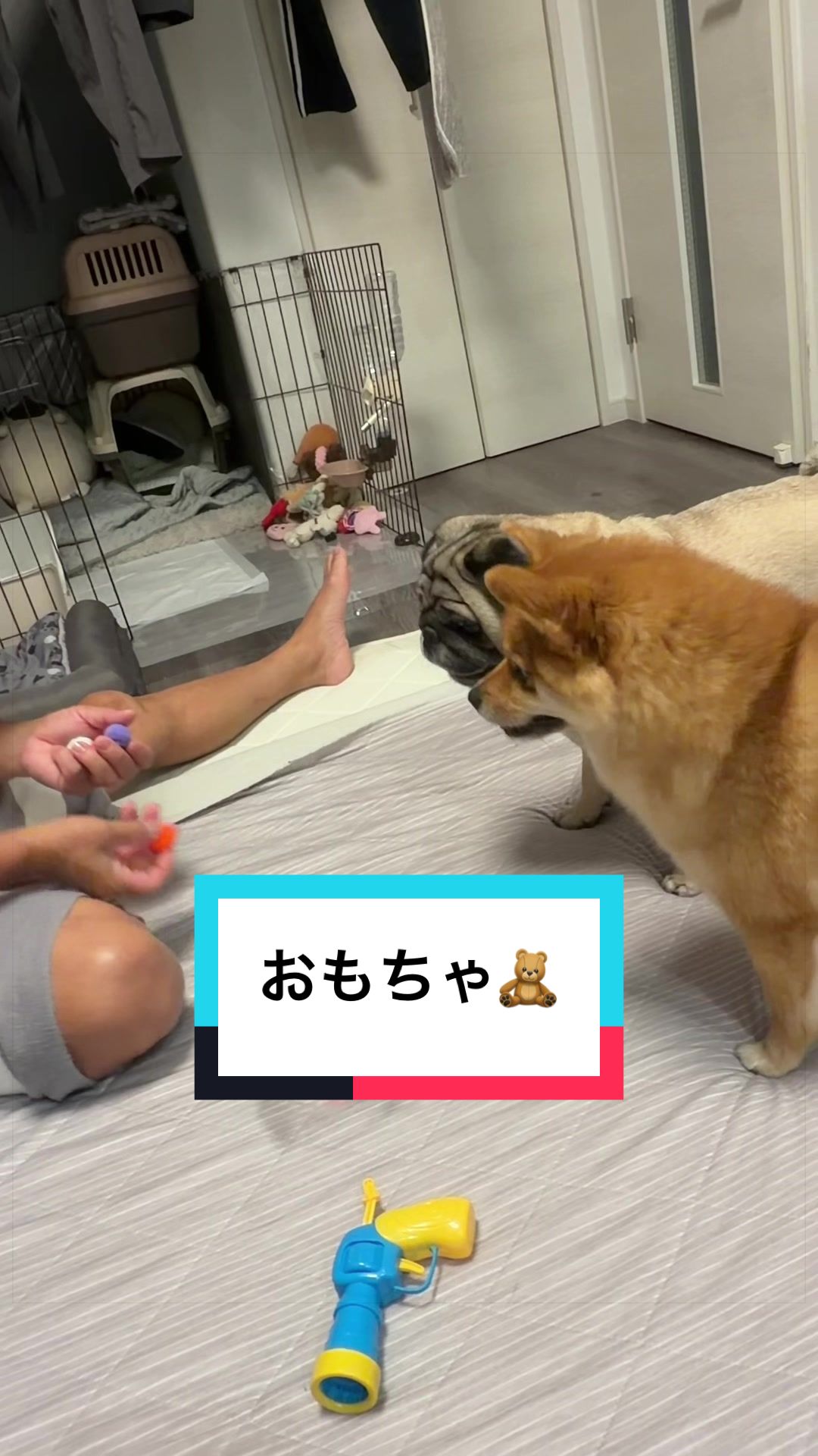 @🐶とん&ぺっぺこぺー🦊