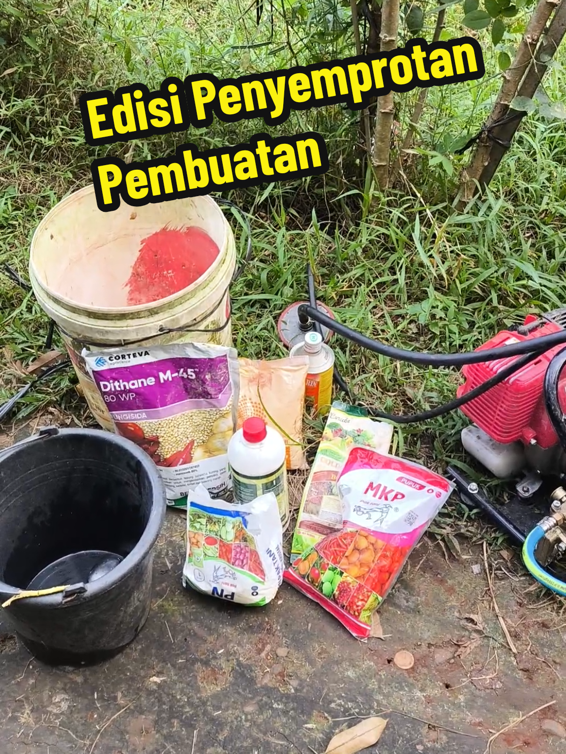@Alas Durian Jepara