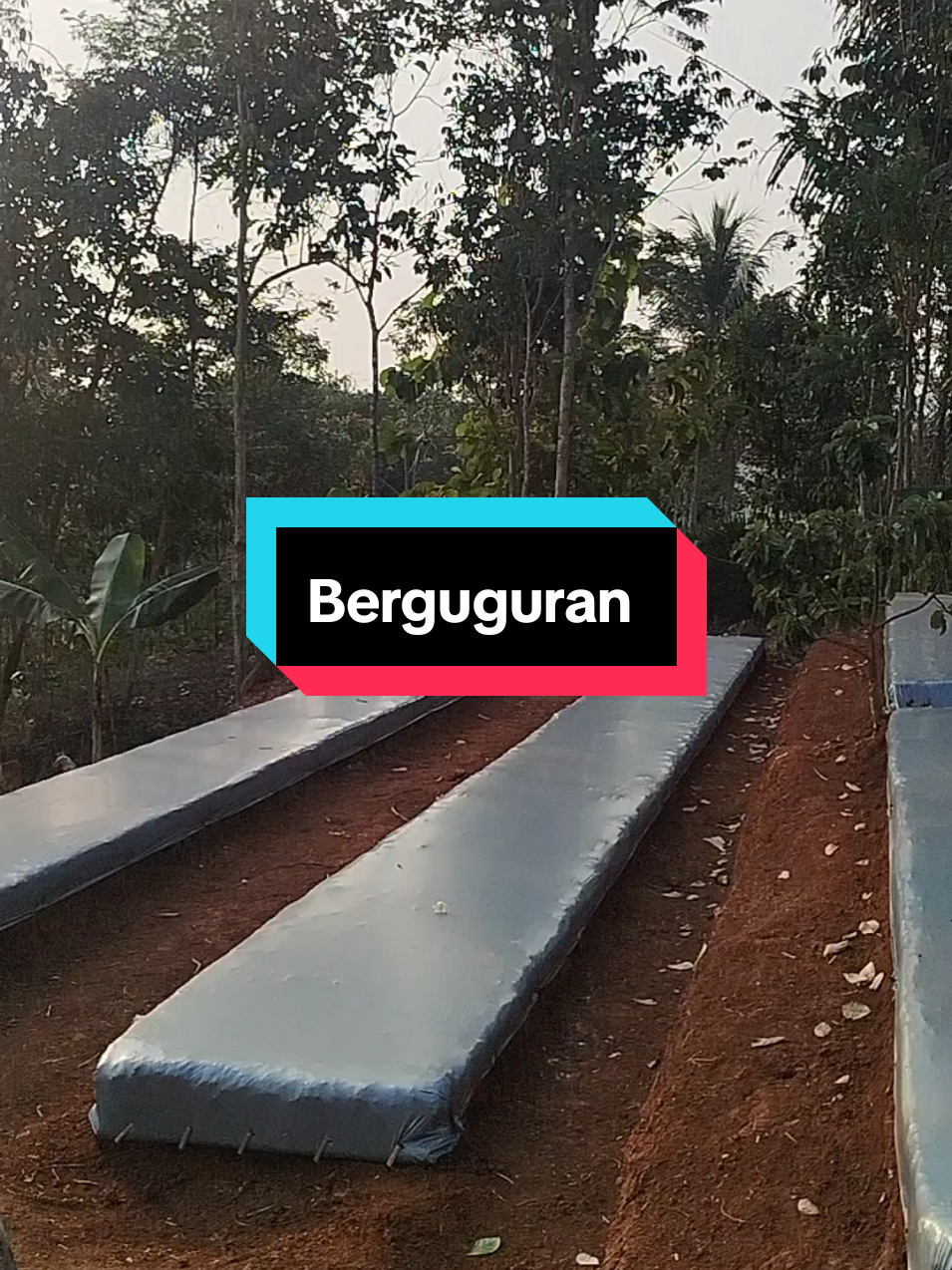 @SenimanPertanianCikancahTV