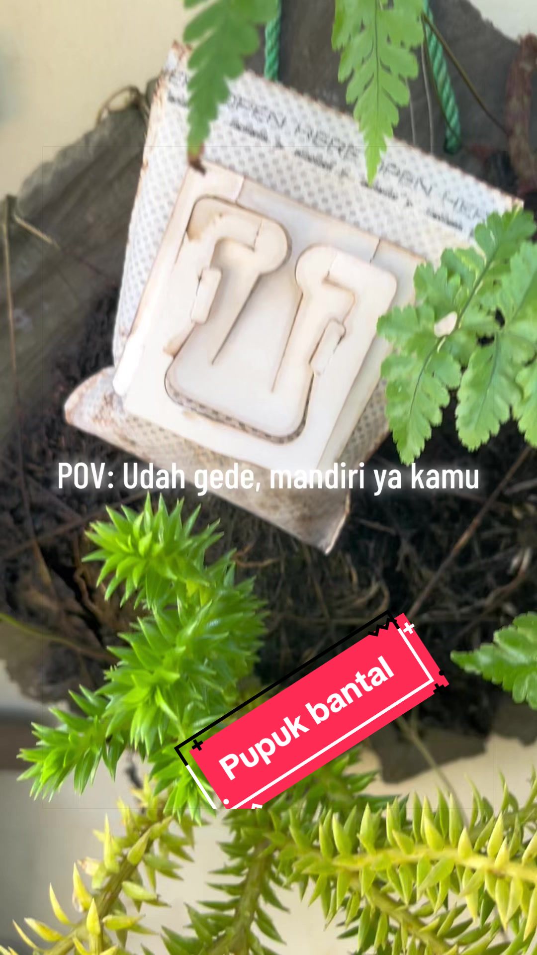 @KUD TANI