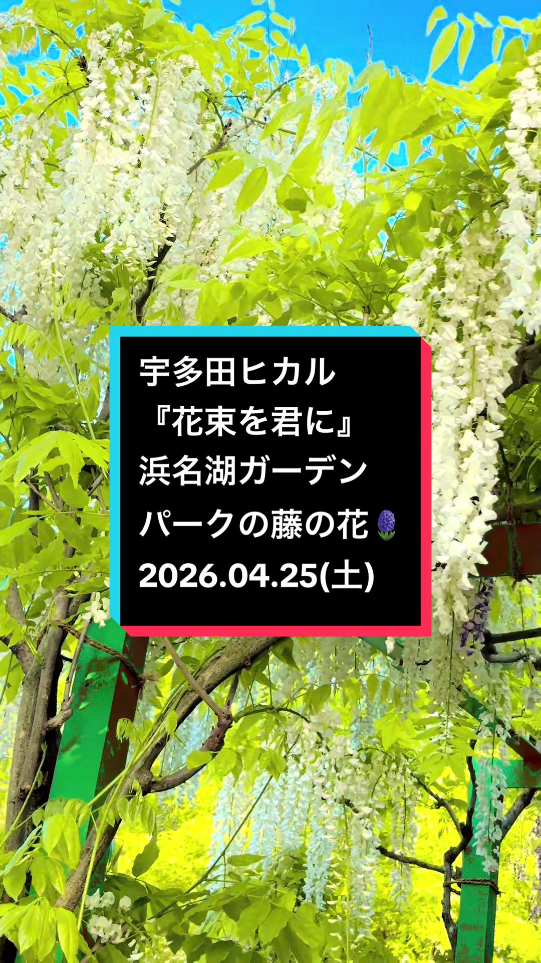 @ゆる