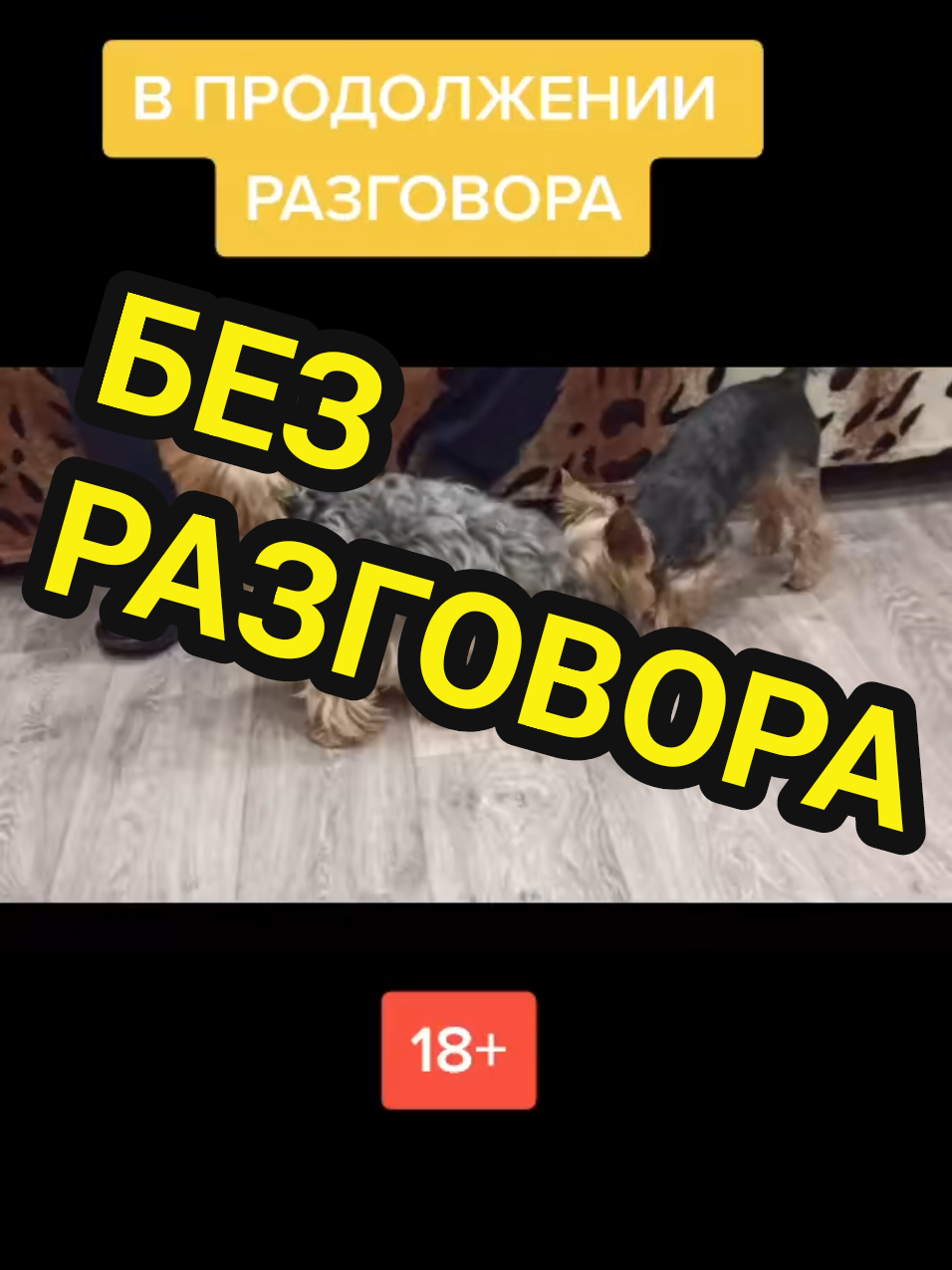 @🤟Веня Машаранский✌