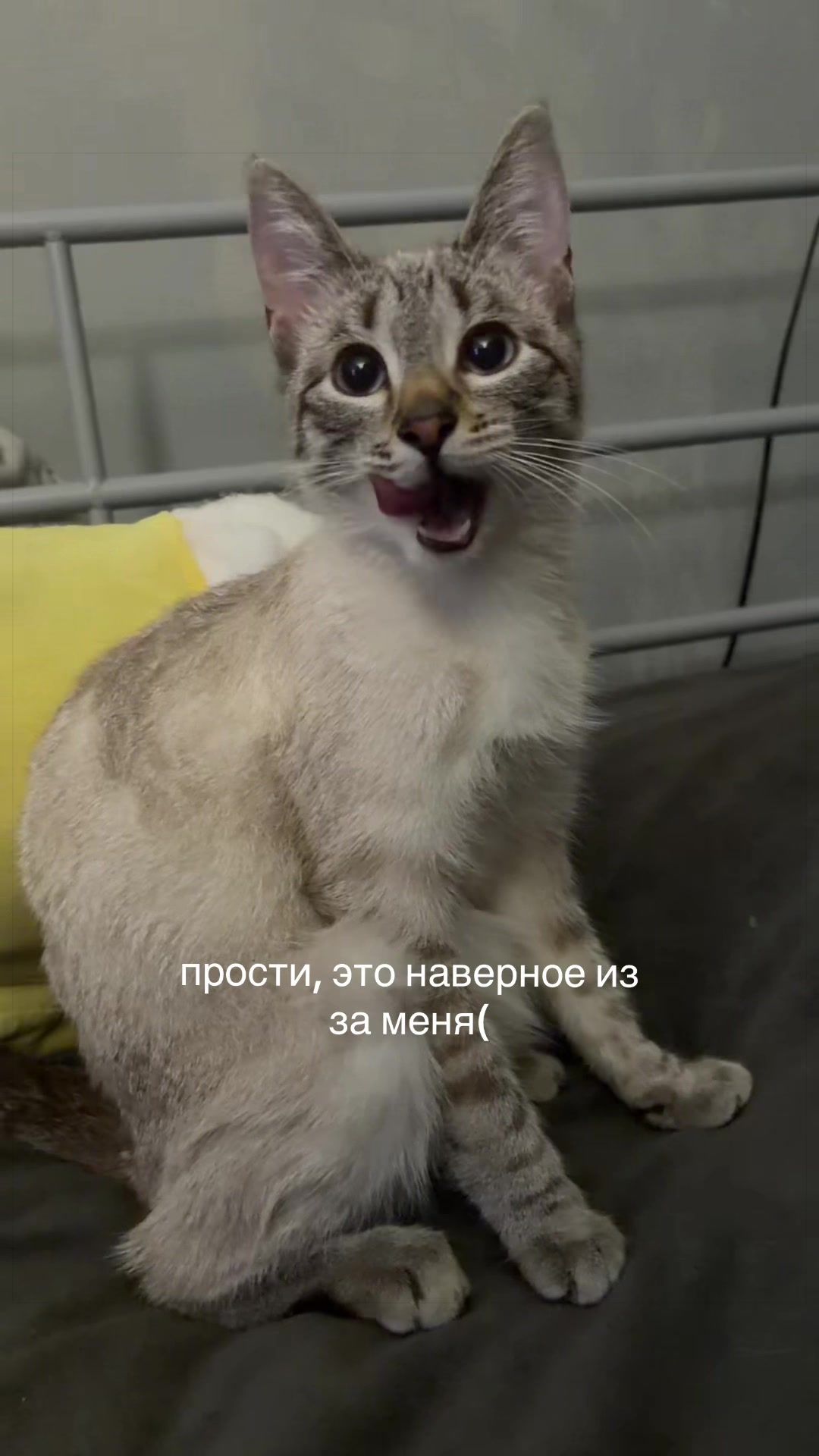 @nasssgwz1
