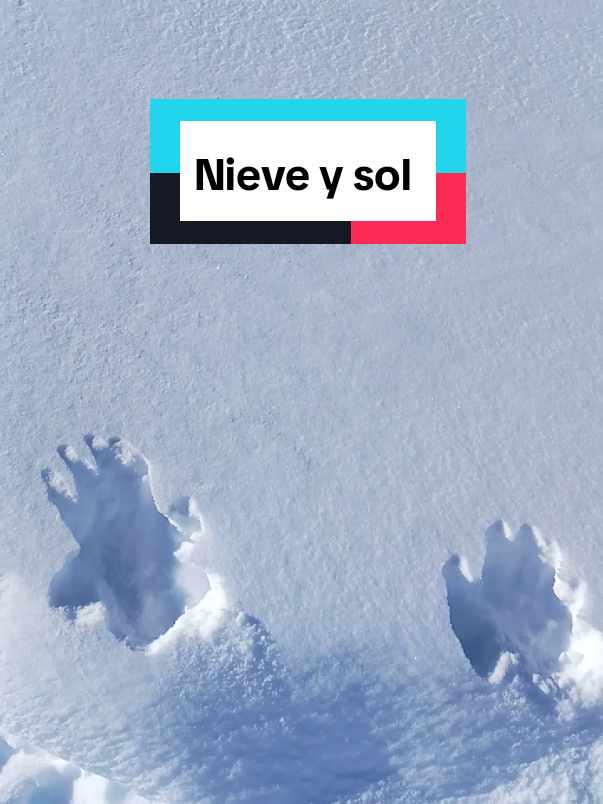 @PaoLe