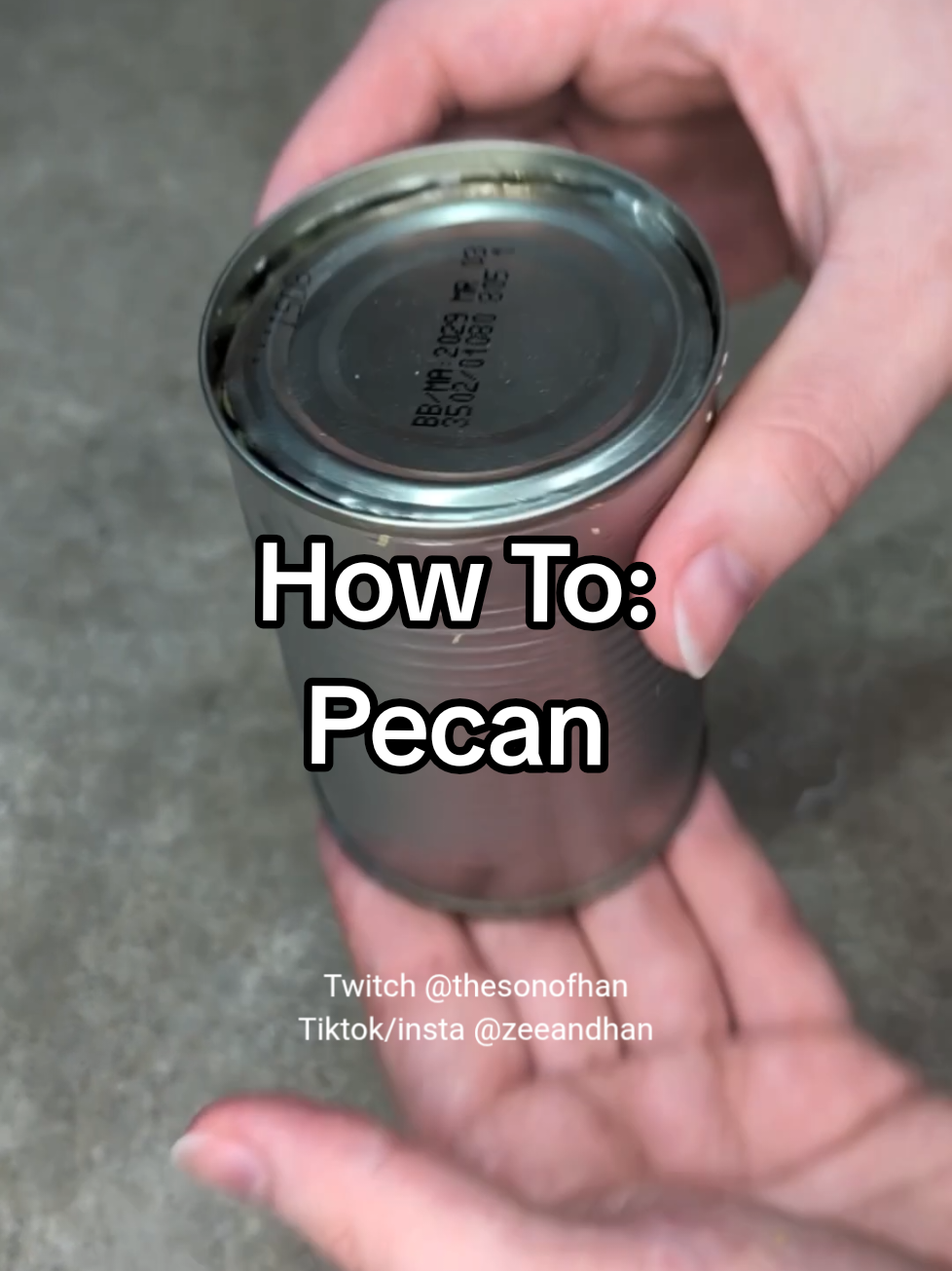 @Zee | Twitch @ TheSonOfHan