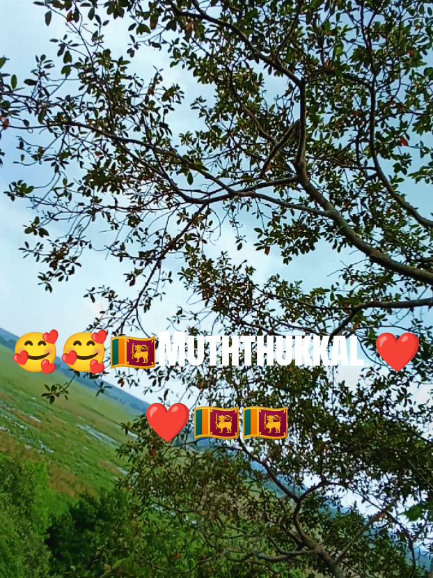 @Vijay Yohan