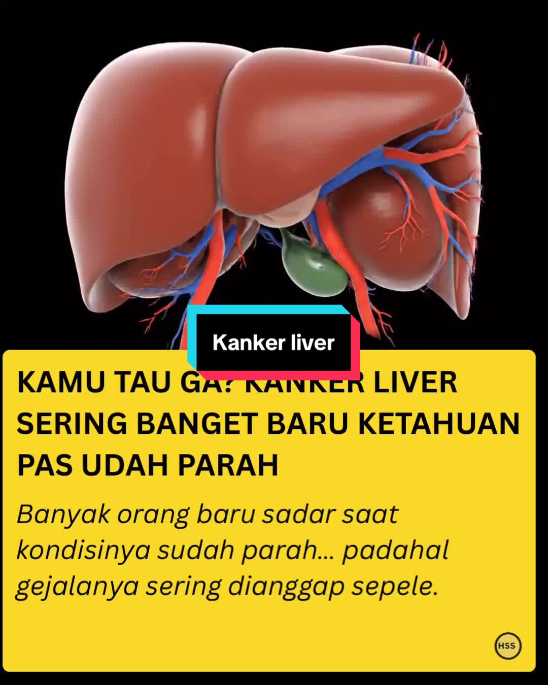 @healthstorysociety
