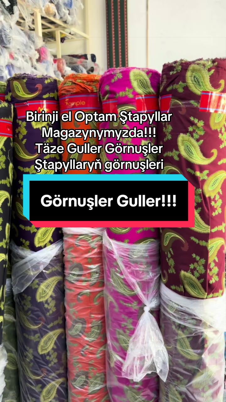 @Birinji el Optam Stapyllar1