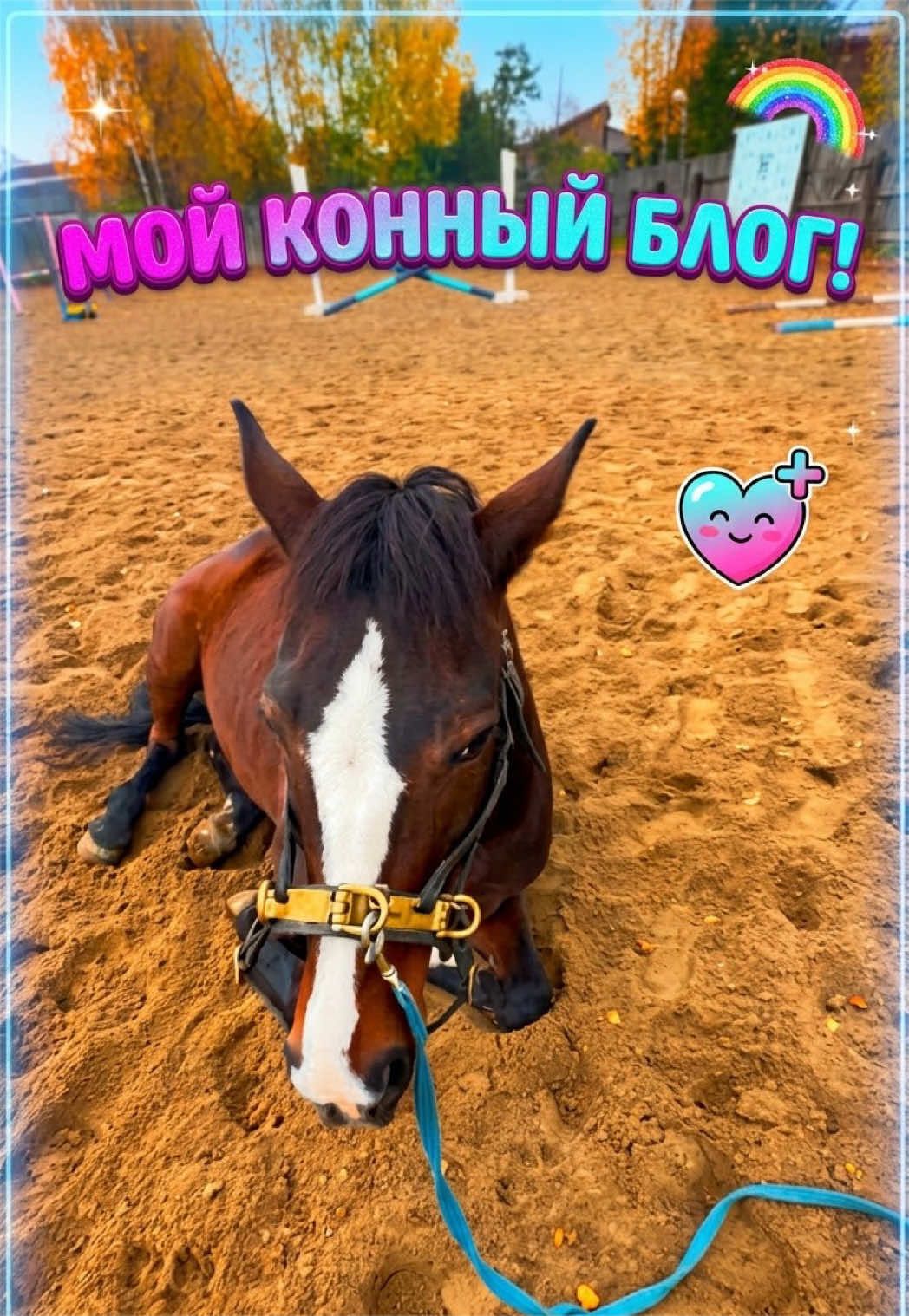 @💗Chenke💗