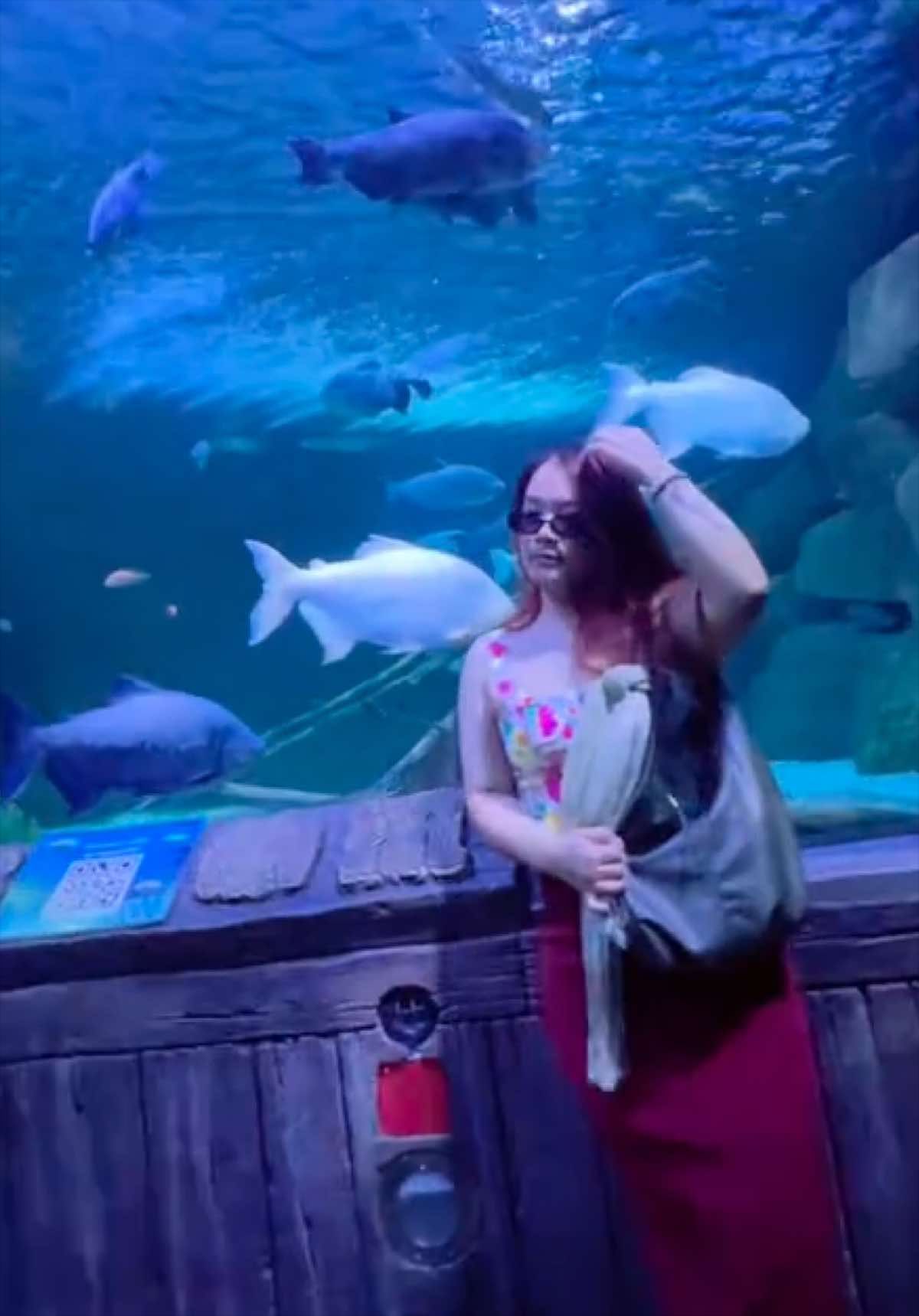 @pokchii