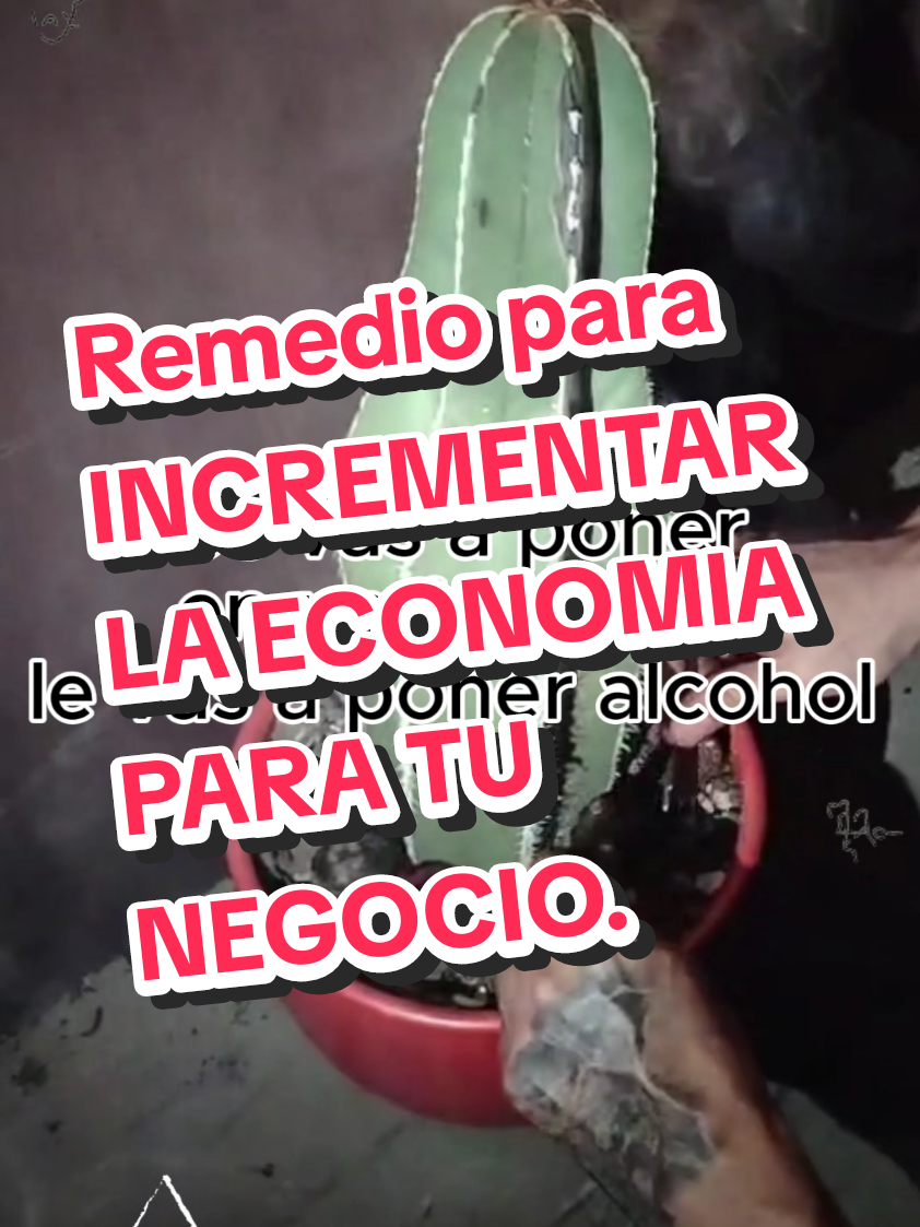 @Rey Arenales