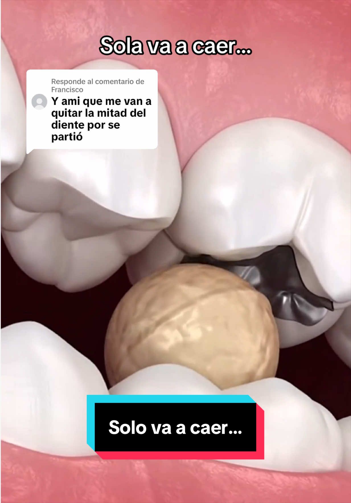 @Clínica Dental Sonrident
